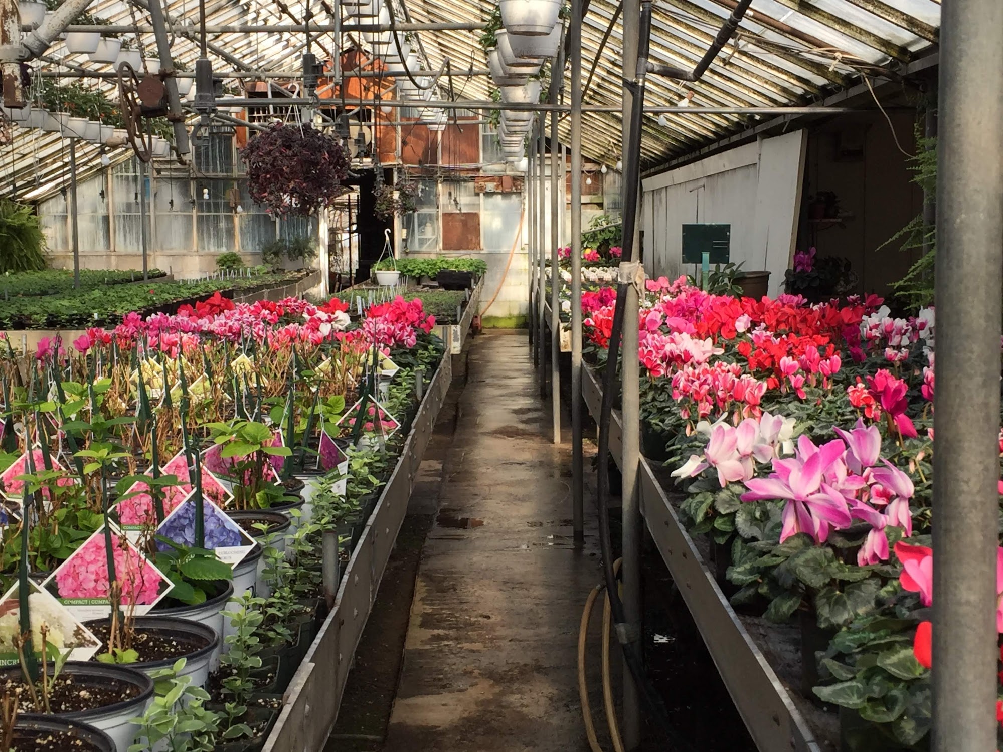 Sparr's Flowers & Greenhouse