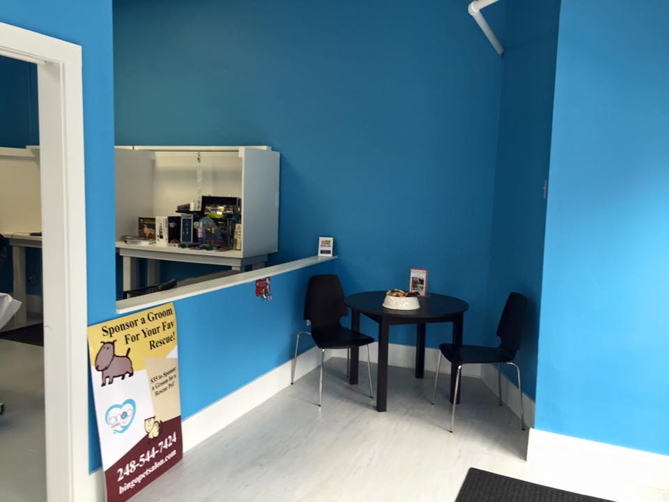 Bingo Institute of Grooming Royal Oak