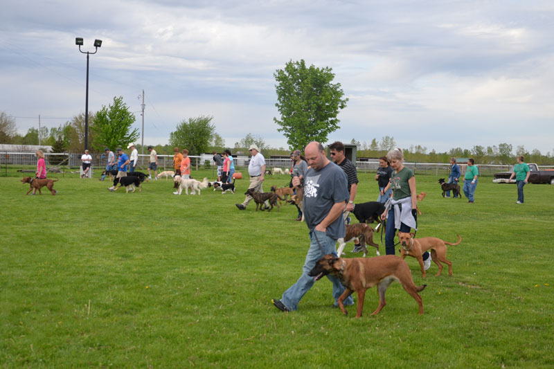 Cher Car Kennels LLC Saint Johns