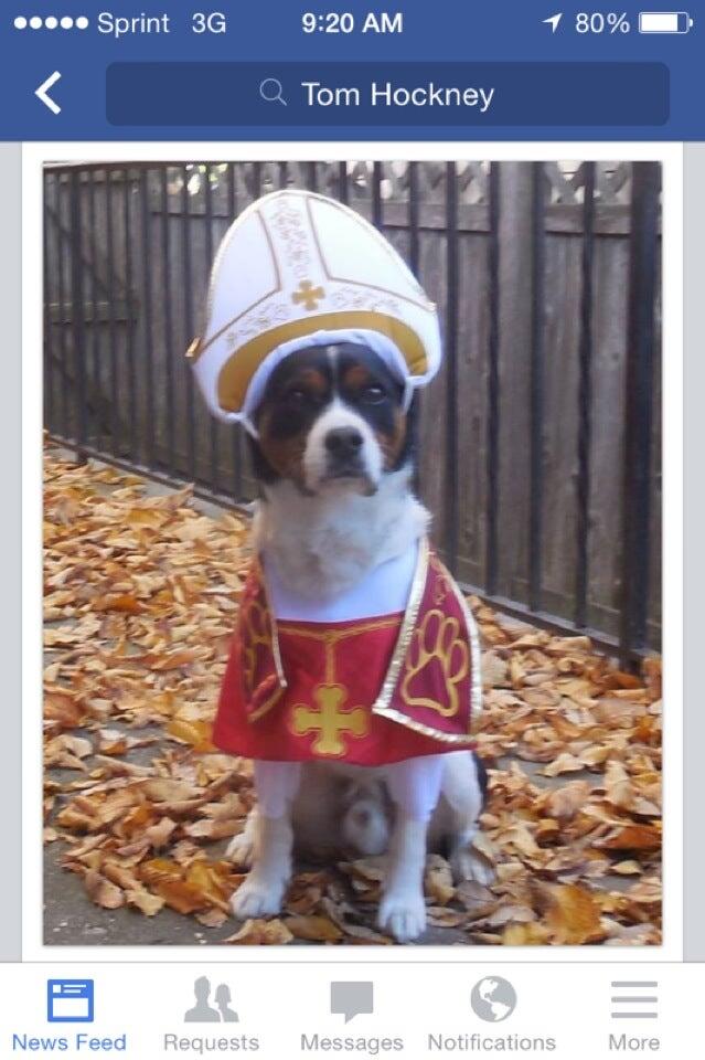 Photo credit: nextdoor