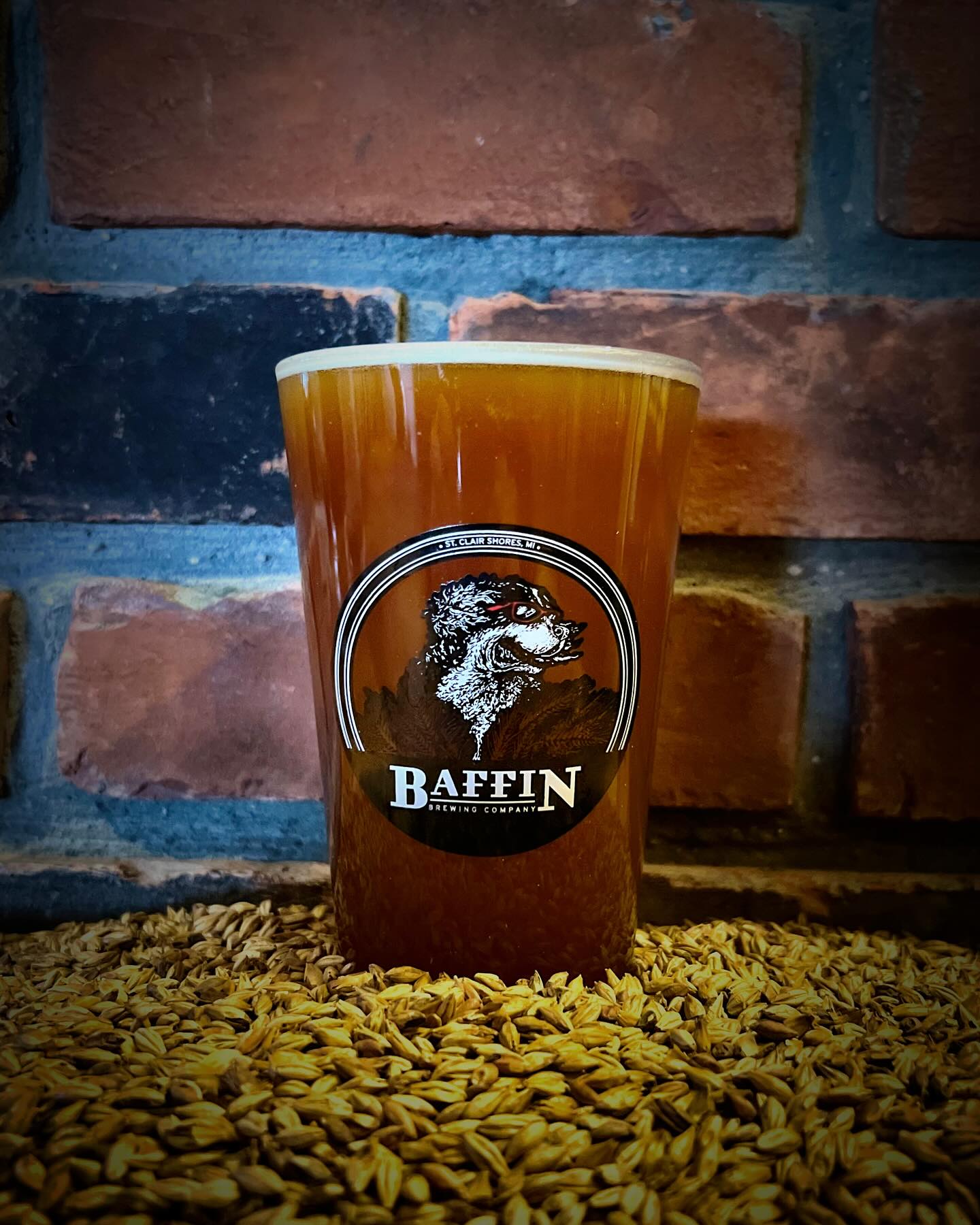 Baffin Brewing Company