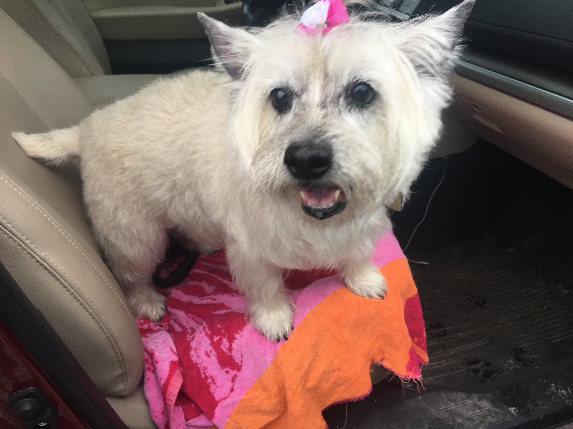 Klasy Klip Waterford