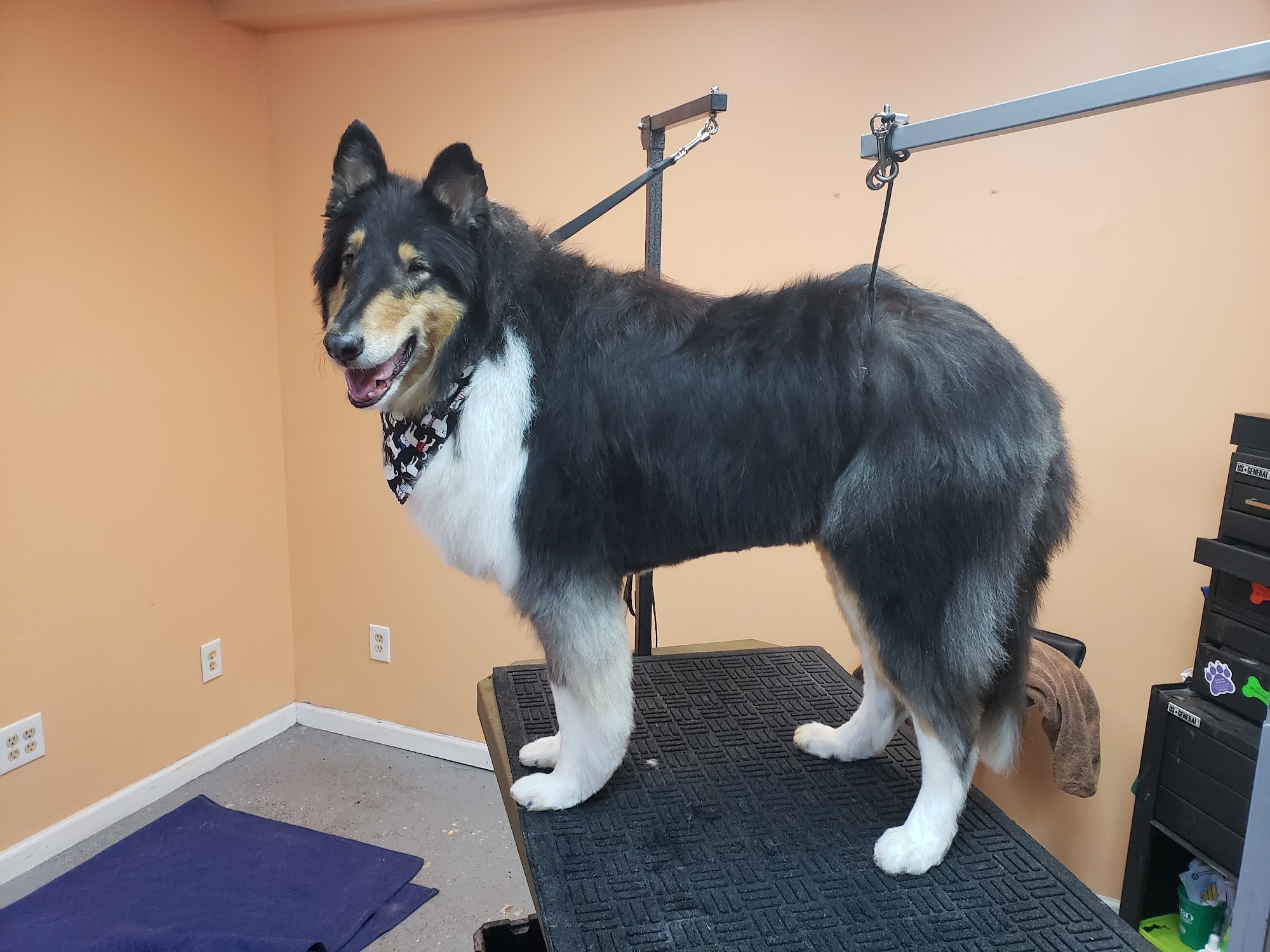 A Little Groom Room Waterford