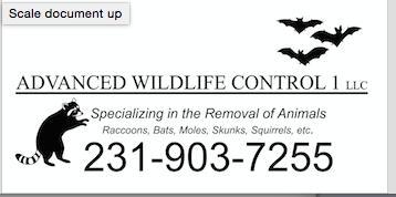 Advanced Wildlife Control 6917 Tranquil Trail, Whitehall Michigan 49461