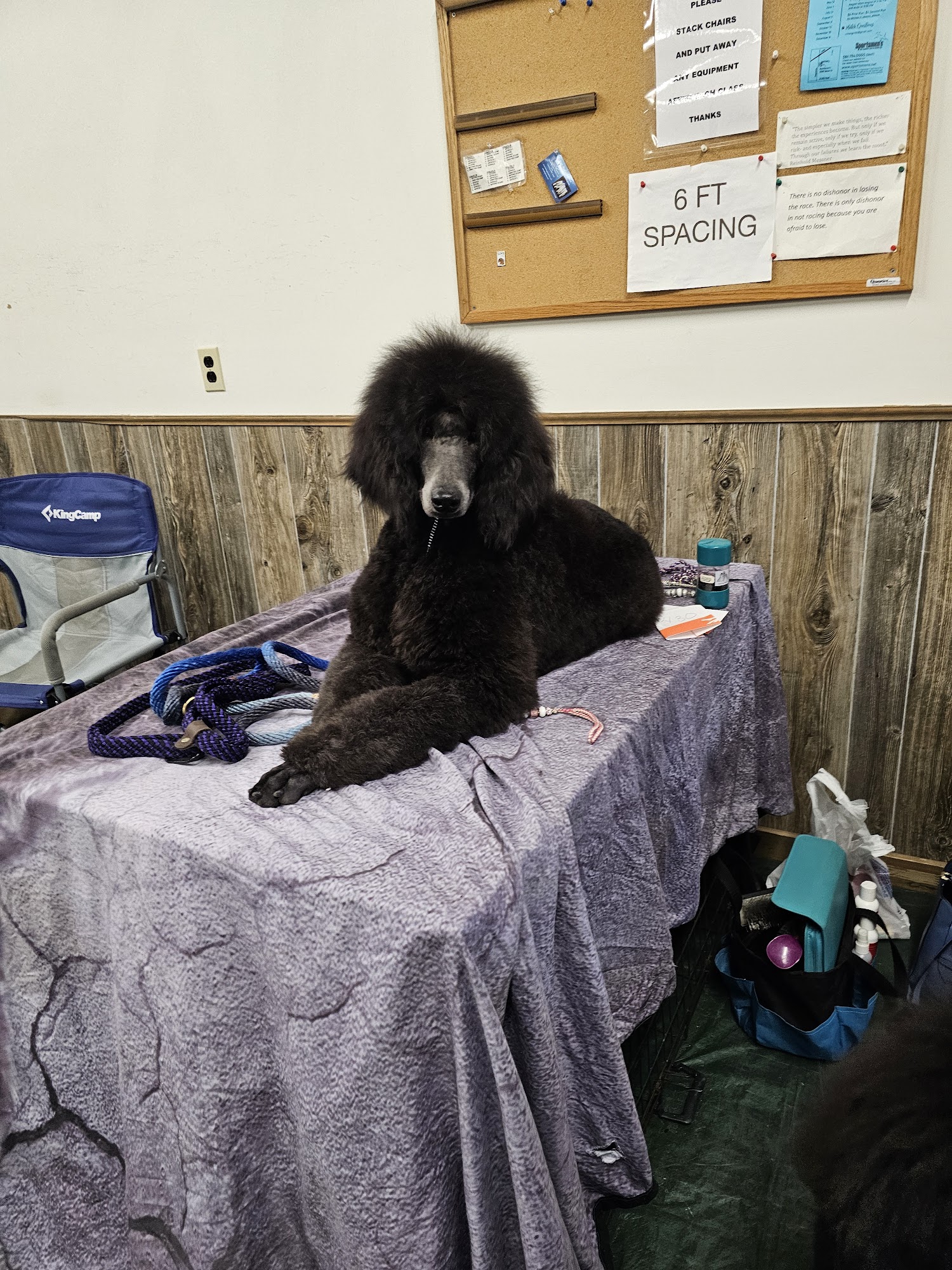 Ann Arbor Dog Training Club Whitmore Lake