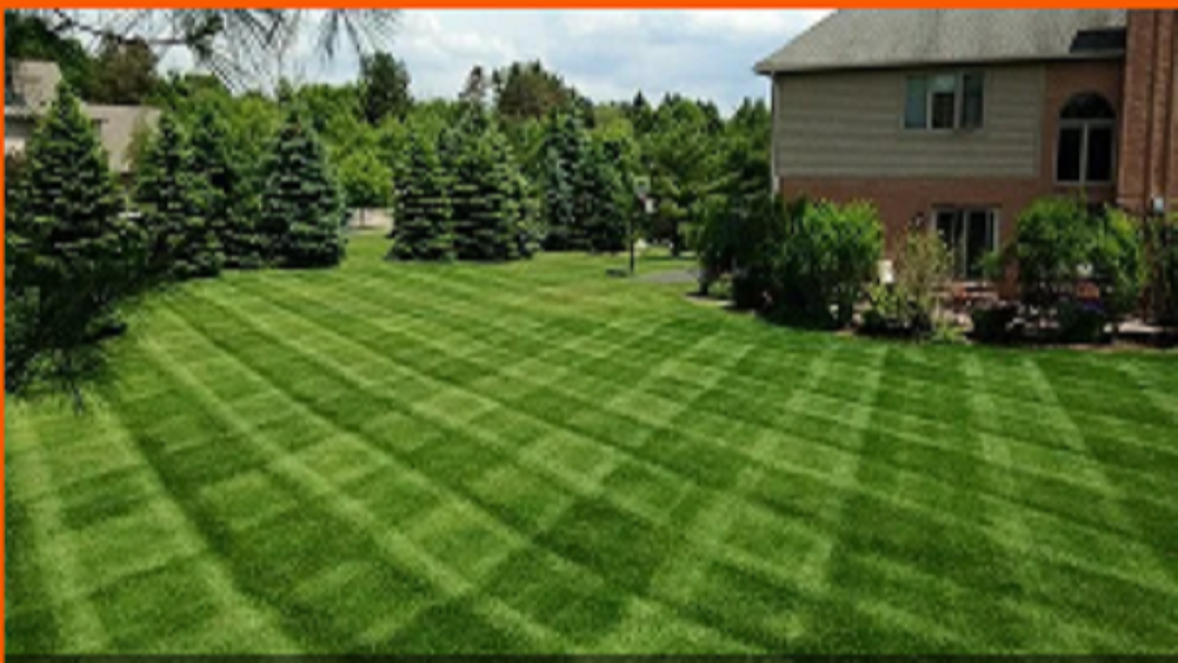 Cavanaugh's Lawn Care & Outdoor Services