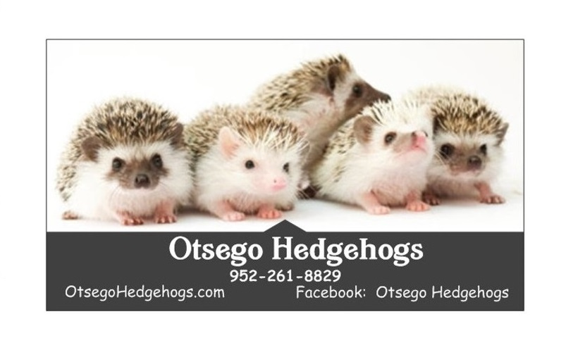 Otsego Hedgehogs