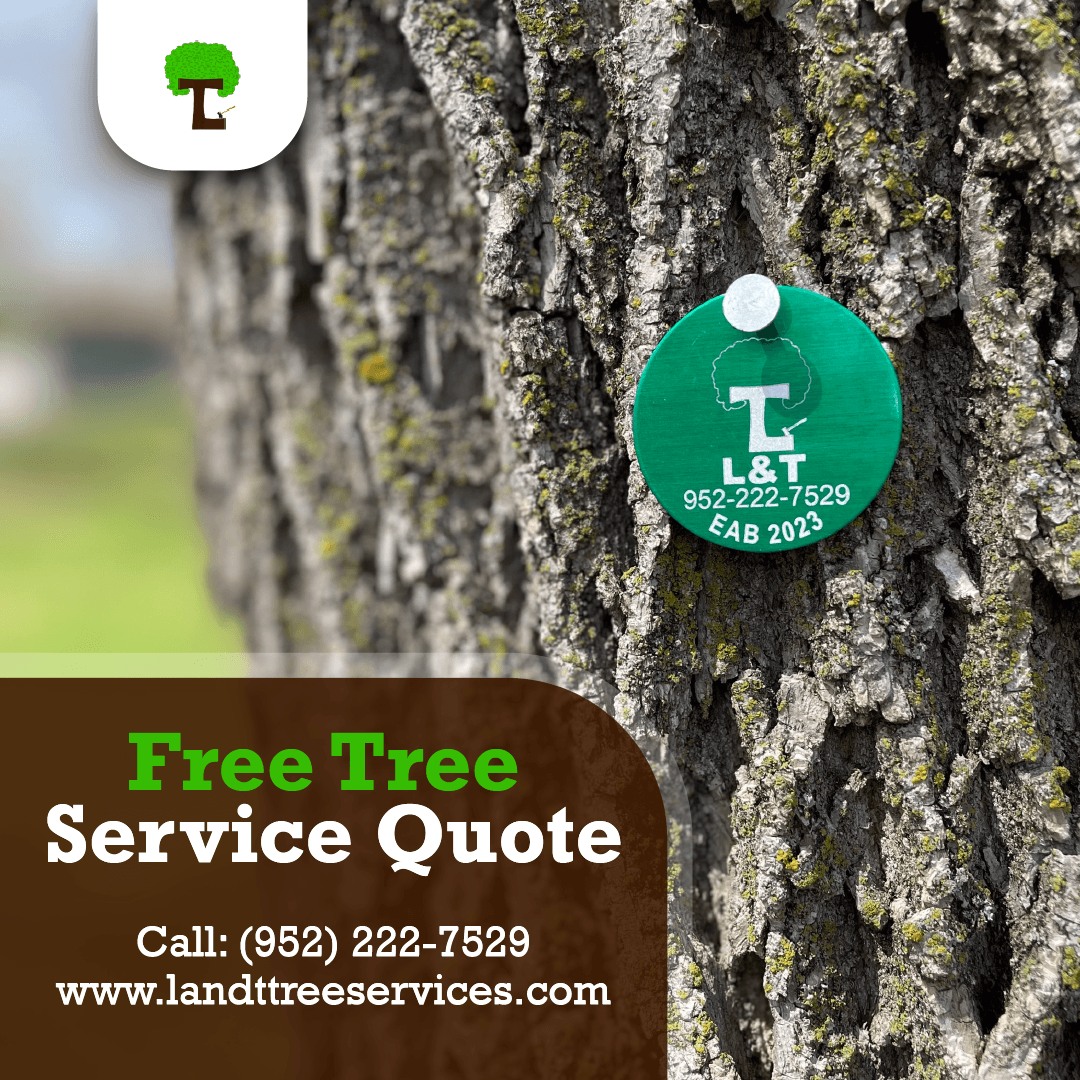 L and T Tree Services 12065 County Road 52, Norwood Young America Minnesota 55368
