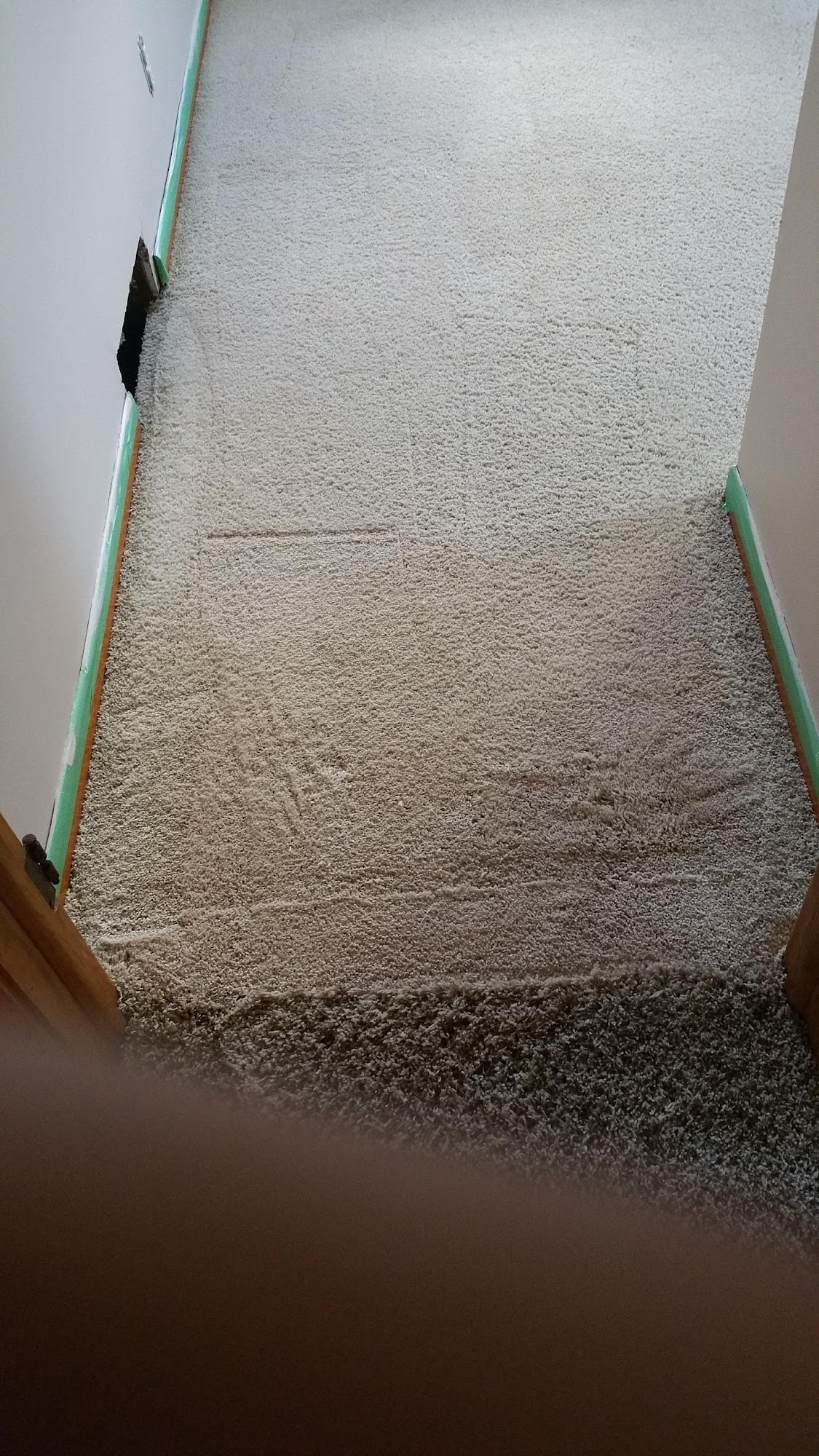 Winter Carpet Cleaning