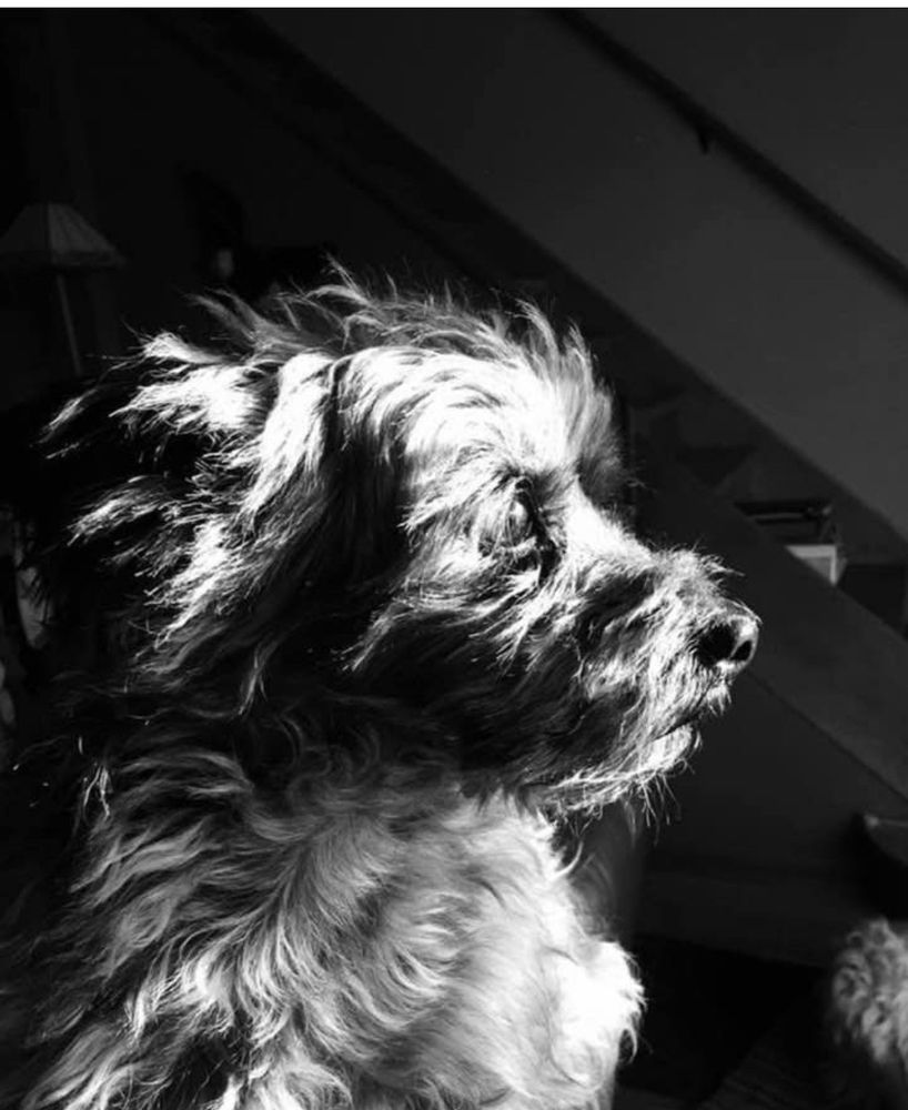 Photo credit: 