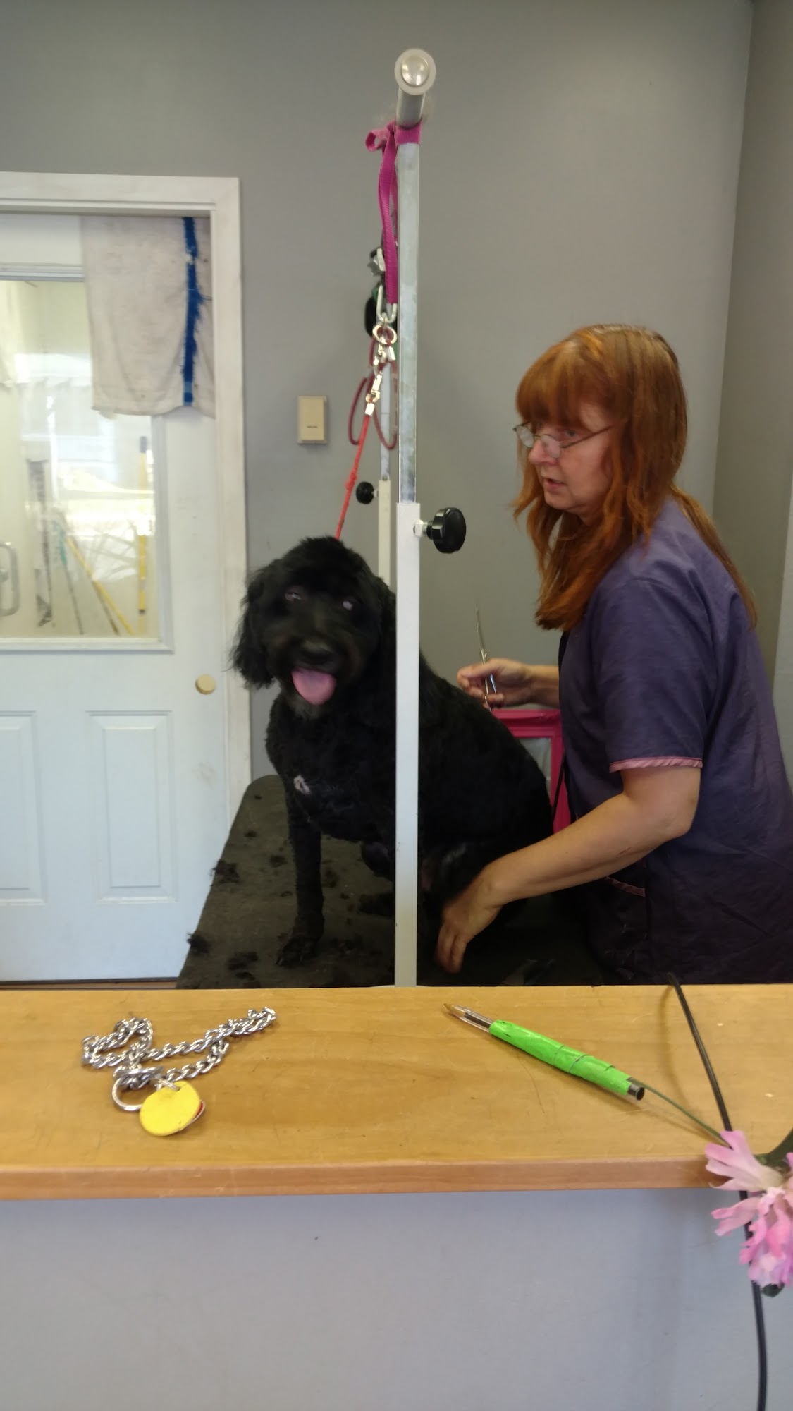 Lechien Pet Salon Duluth