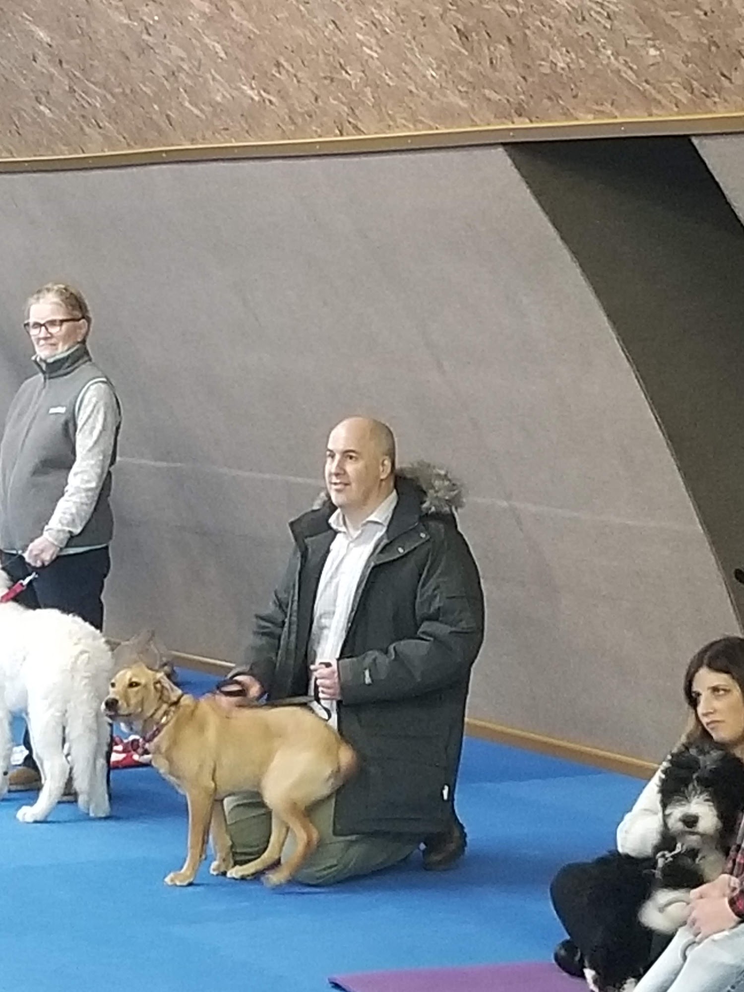Dog Dynasty Duluth, LLC Duluth