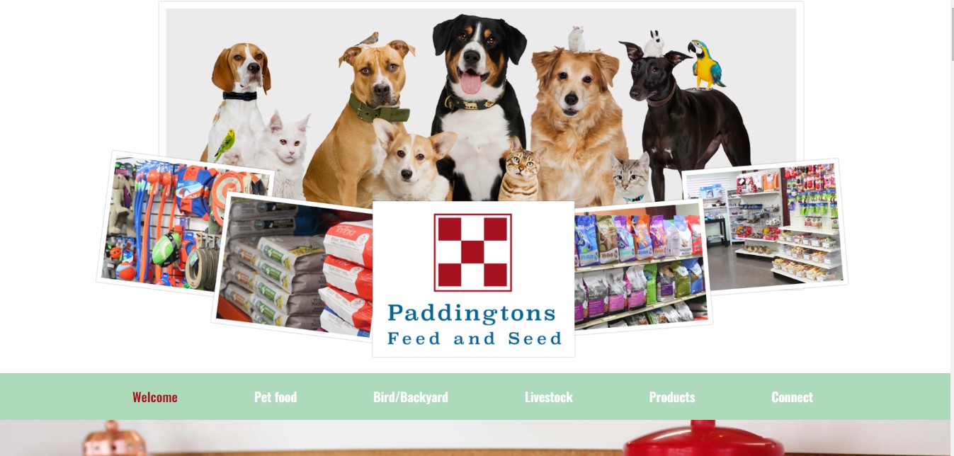 Priority Web Design and Social Media