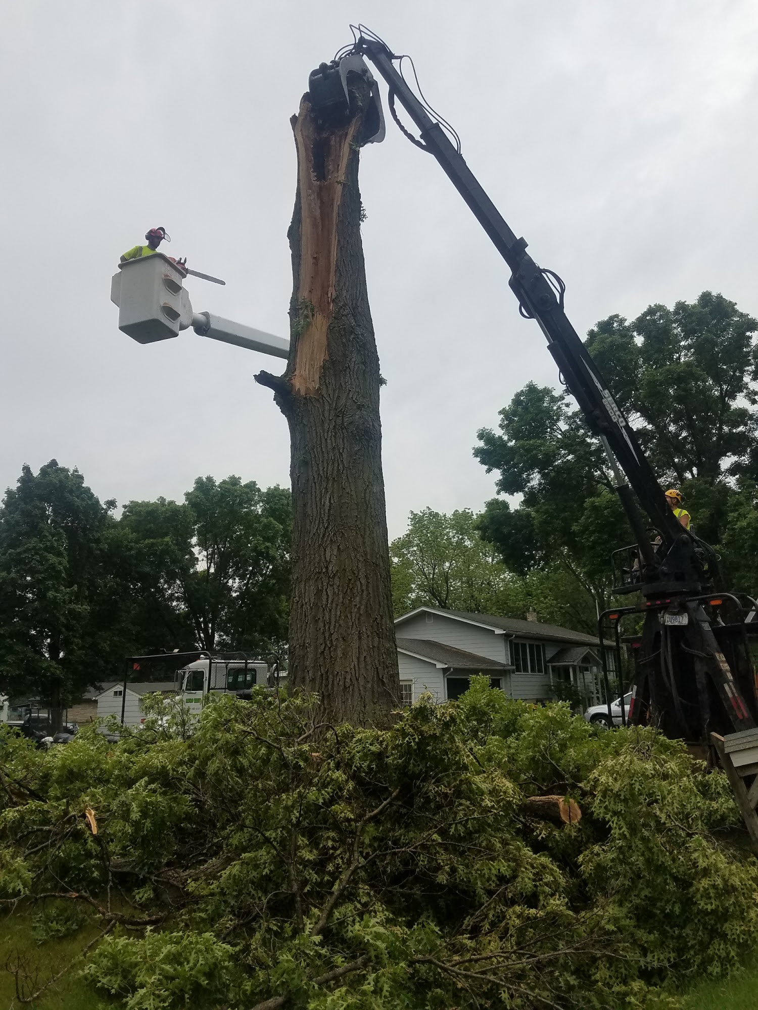 Hugo's Tree Care 14728 Irish Ave N, Hugo Minnesota 55038