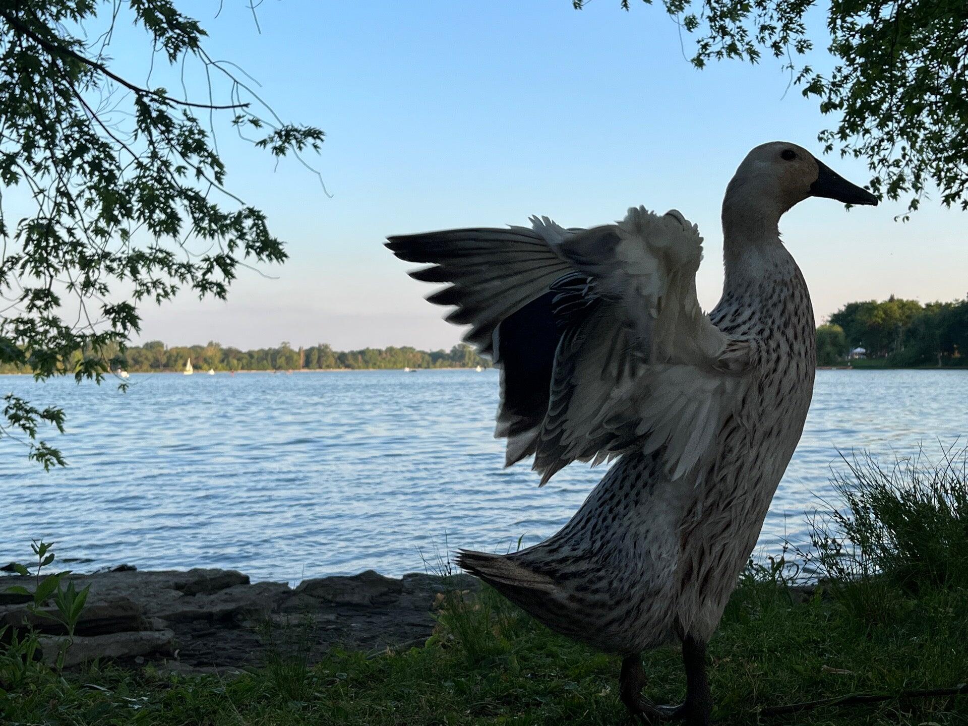 Photo credit: nextdoor