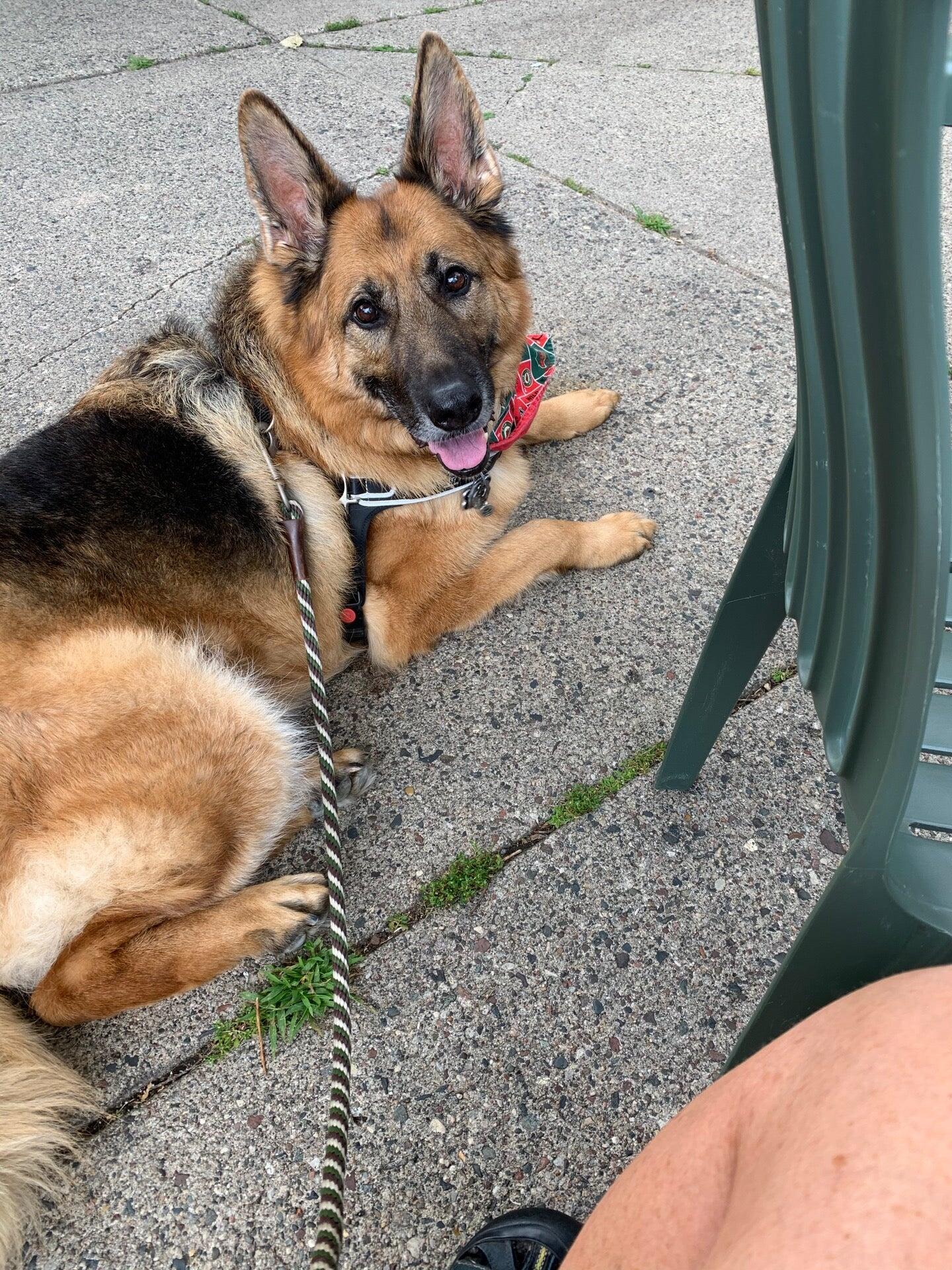 Photo credit: nextdoor