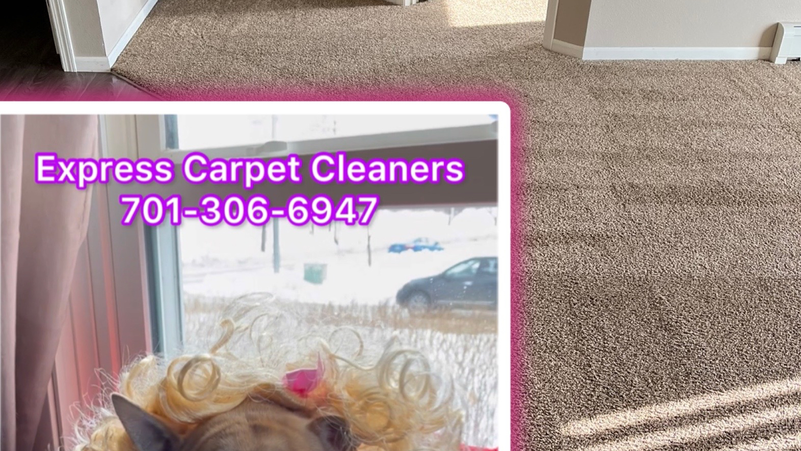 Express Carpet Cleaners