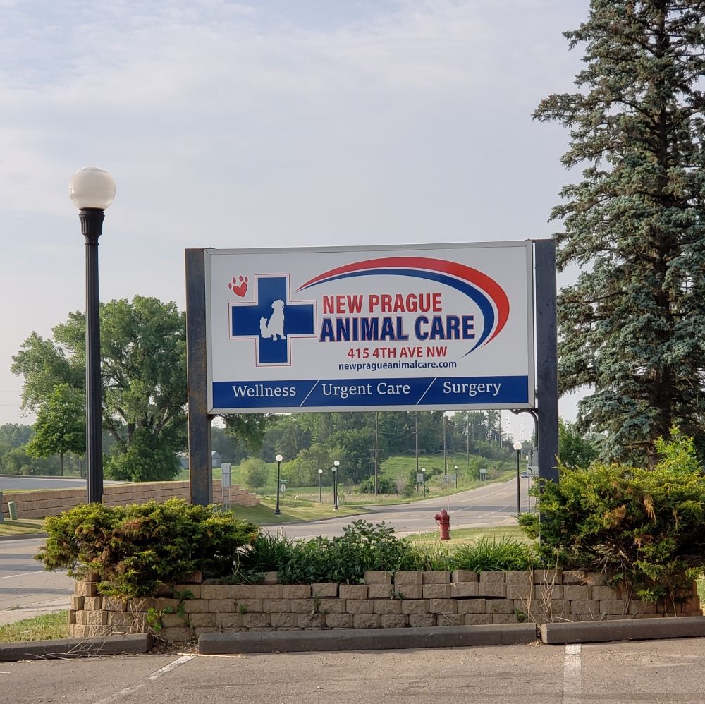 New Prague Animal Care