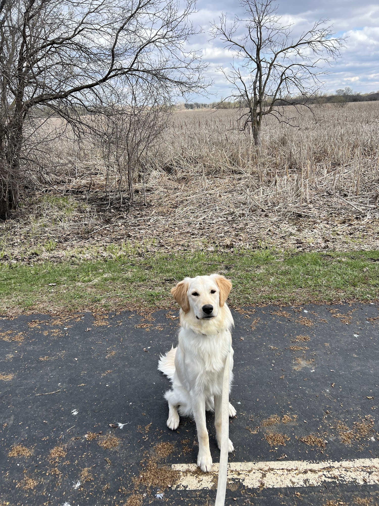 Off Leash K9 Training Twin Cities 12763 Central Avenue NE, Blaine Minnesota 55434