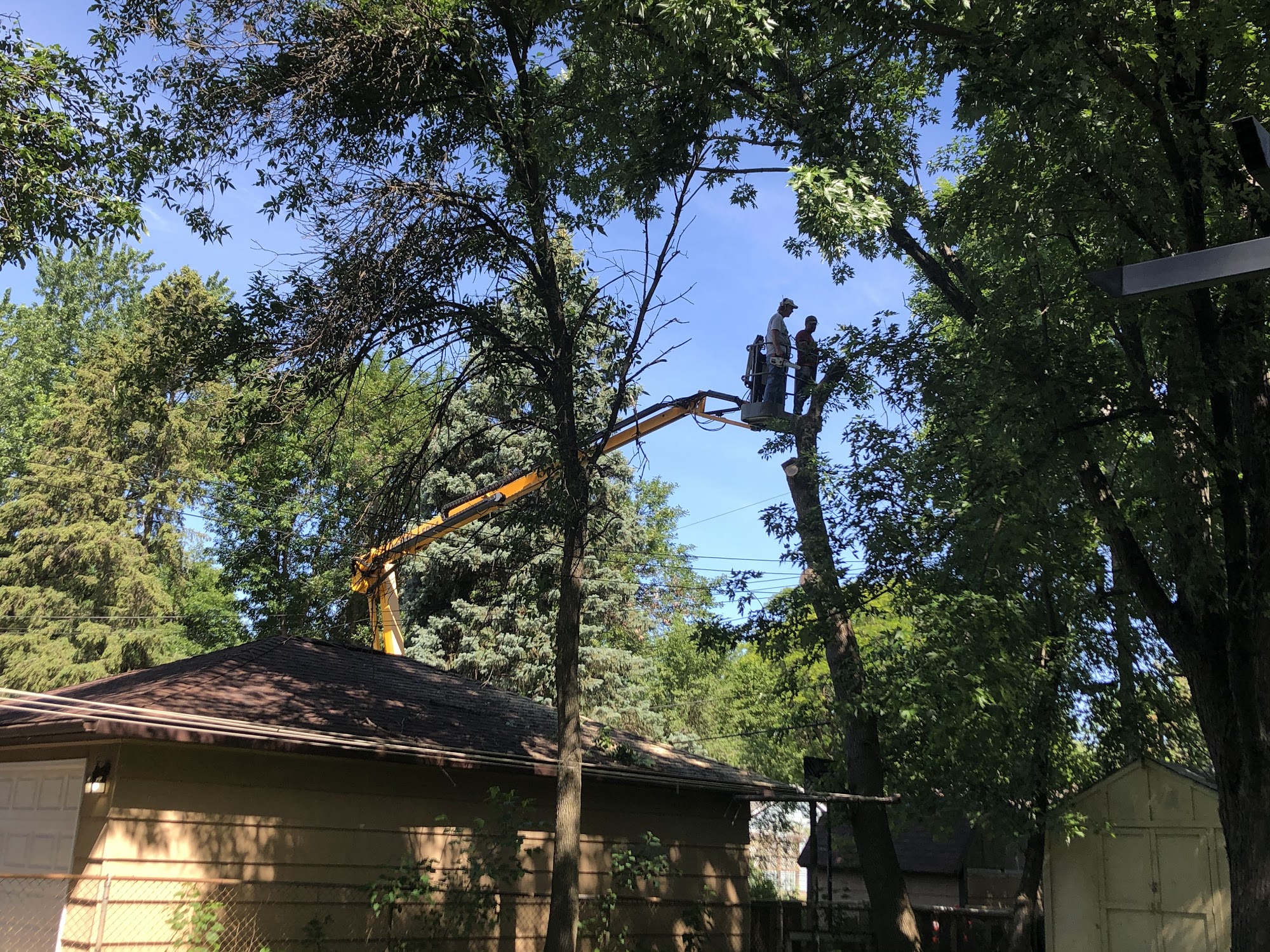 Tree Cuts Plus 9936 290th Ave, Pierz Minnesota 56364