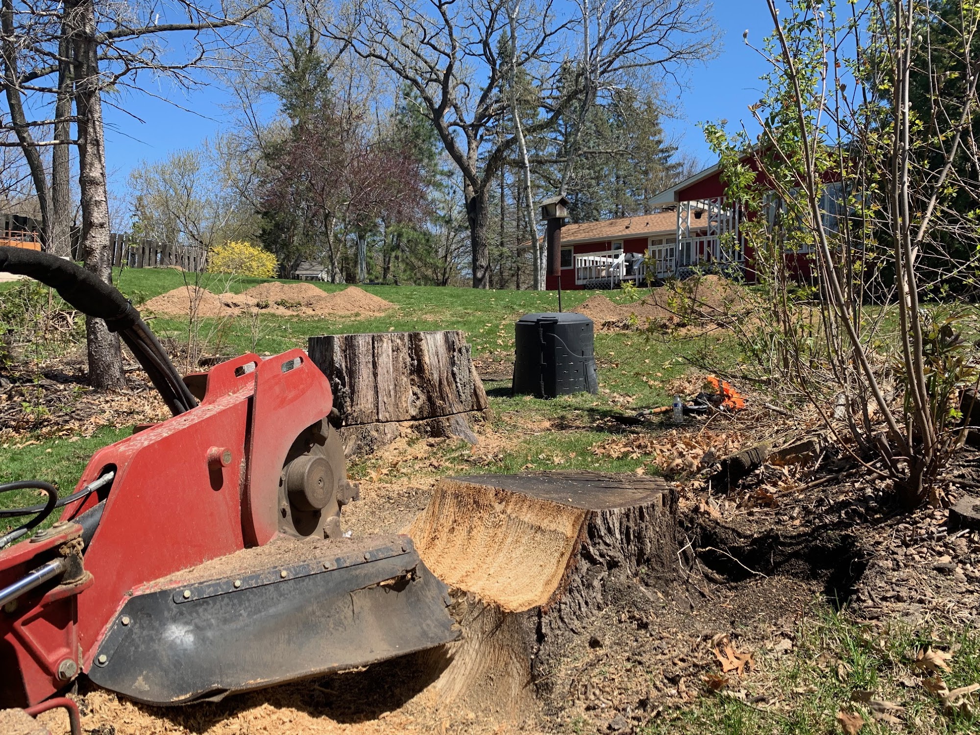 Action Tree Stump Removal Services