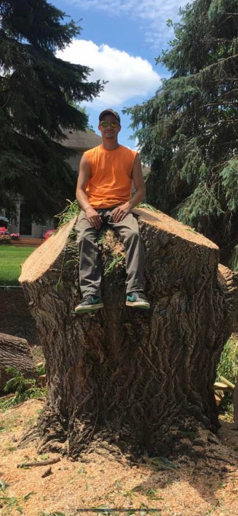 Thomas Tree Services