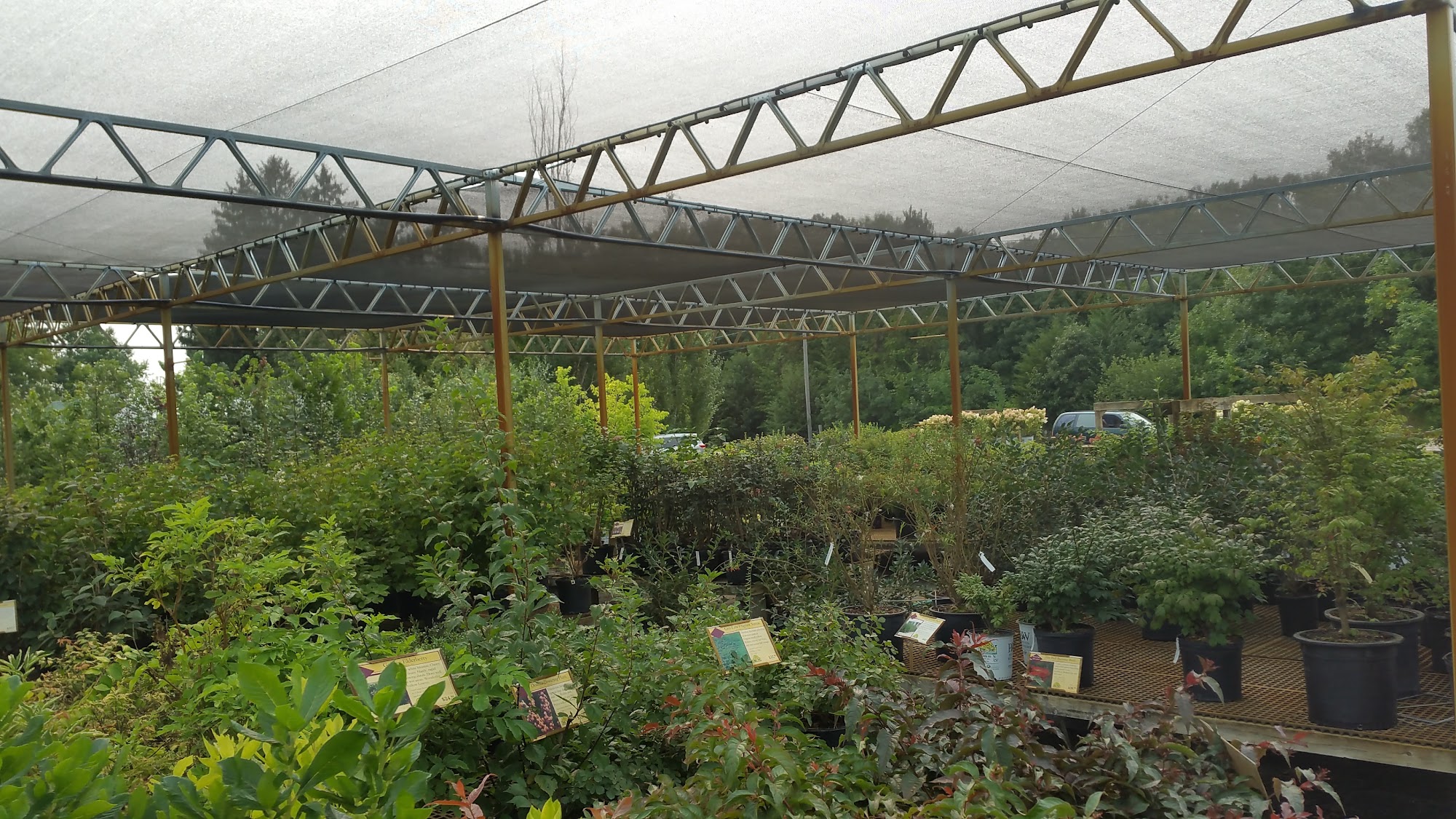 Tree Top Nursery & Landscaping 43278 Co Rd 112, Sauk Centre Minnesota 56378