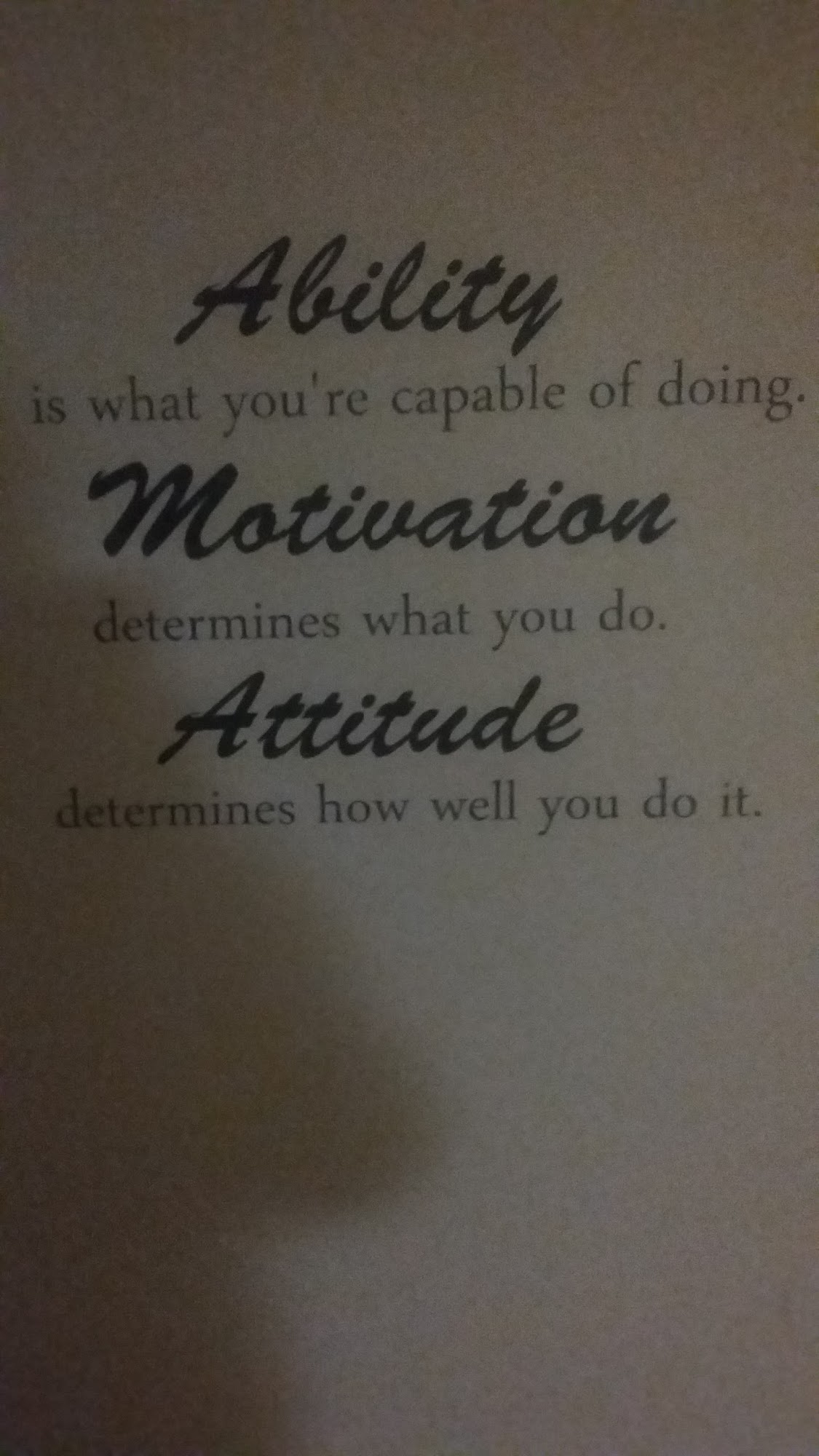 Stephen J Reigstad Optometry