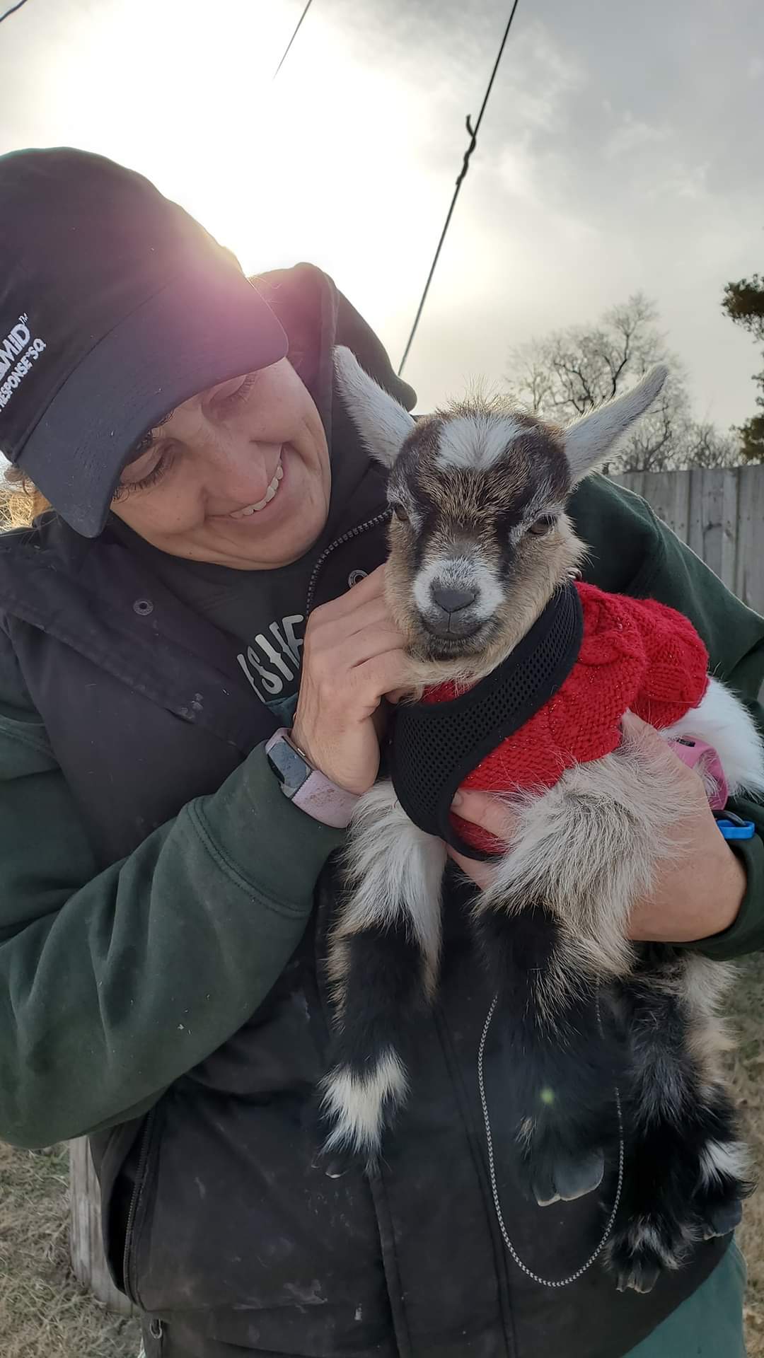 Countryside Veterinary Large Animal Clinic Bolivar