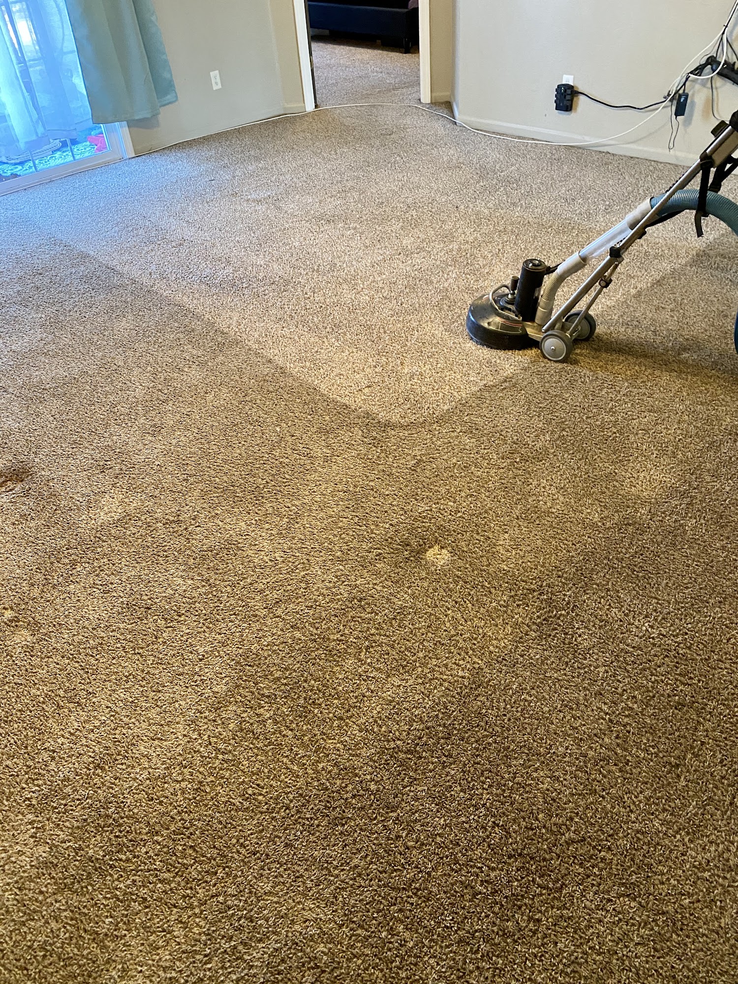 The Lake Carpet Cleaning