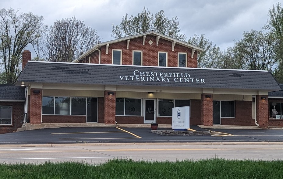 Chesterfield Veterinary Center: Astorino Mary E DVM