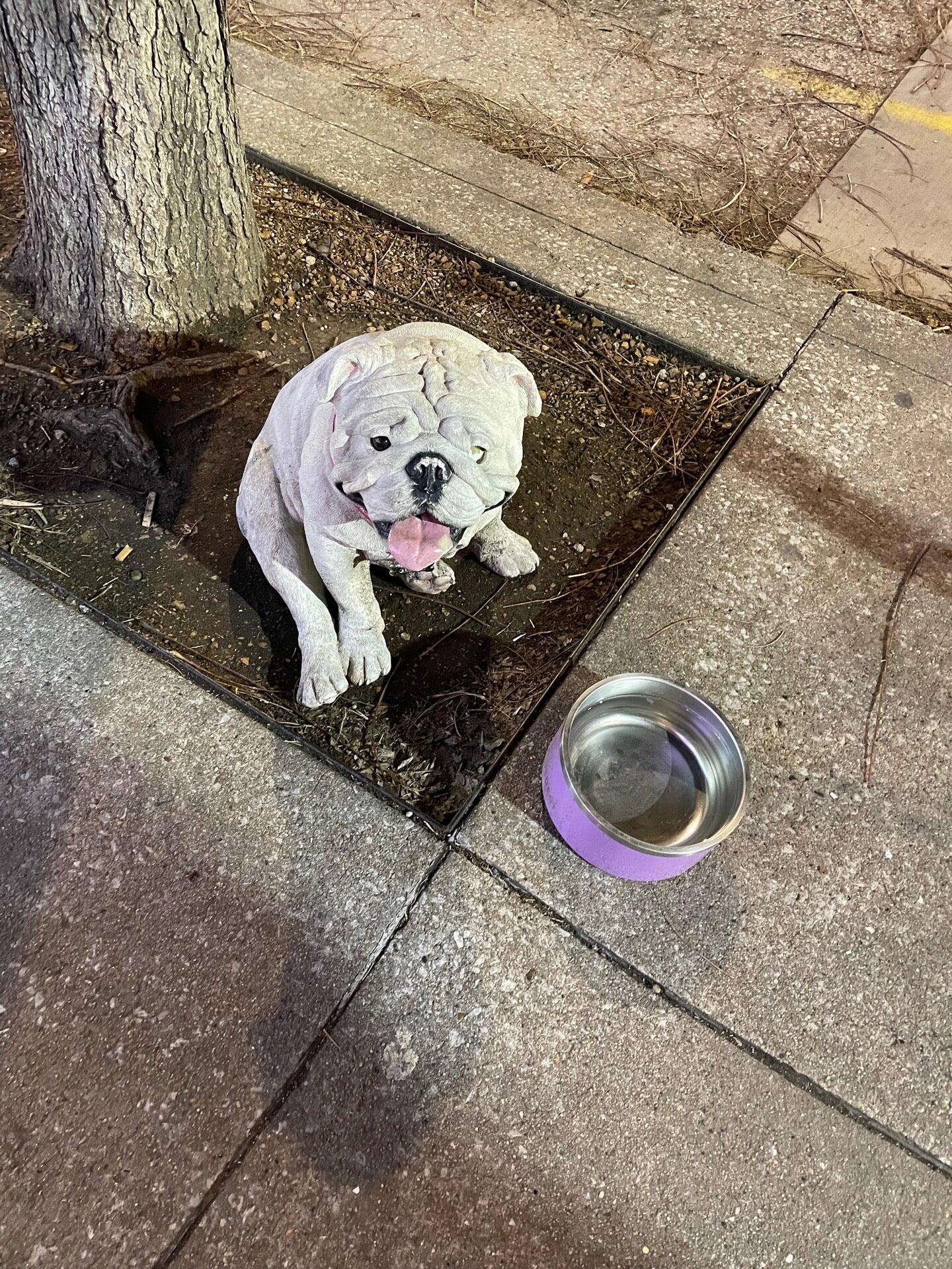 Photo credit: nextdoor