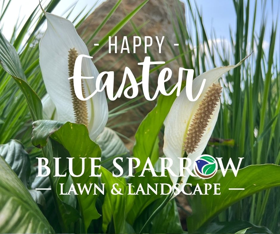 Blue Sparrow Lawn & Landscape, LLC 107 N Industrial Park Rd, Excelsior Springs Missouri 64024