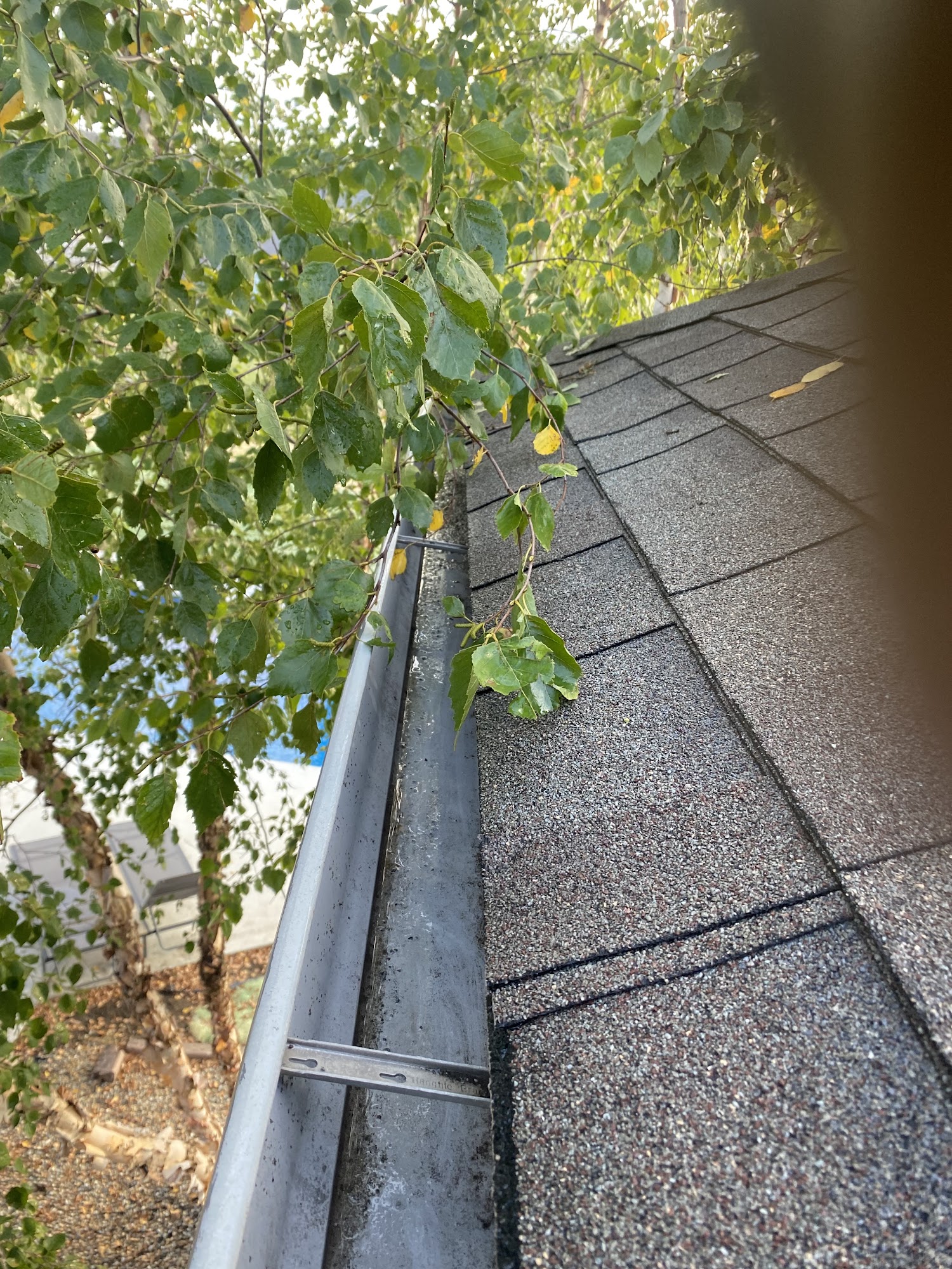 Priority Gutter Cleaning 12403 Shoemaker Rd, Excelsior Springs Missouri 64024