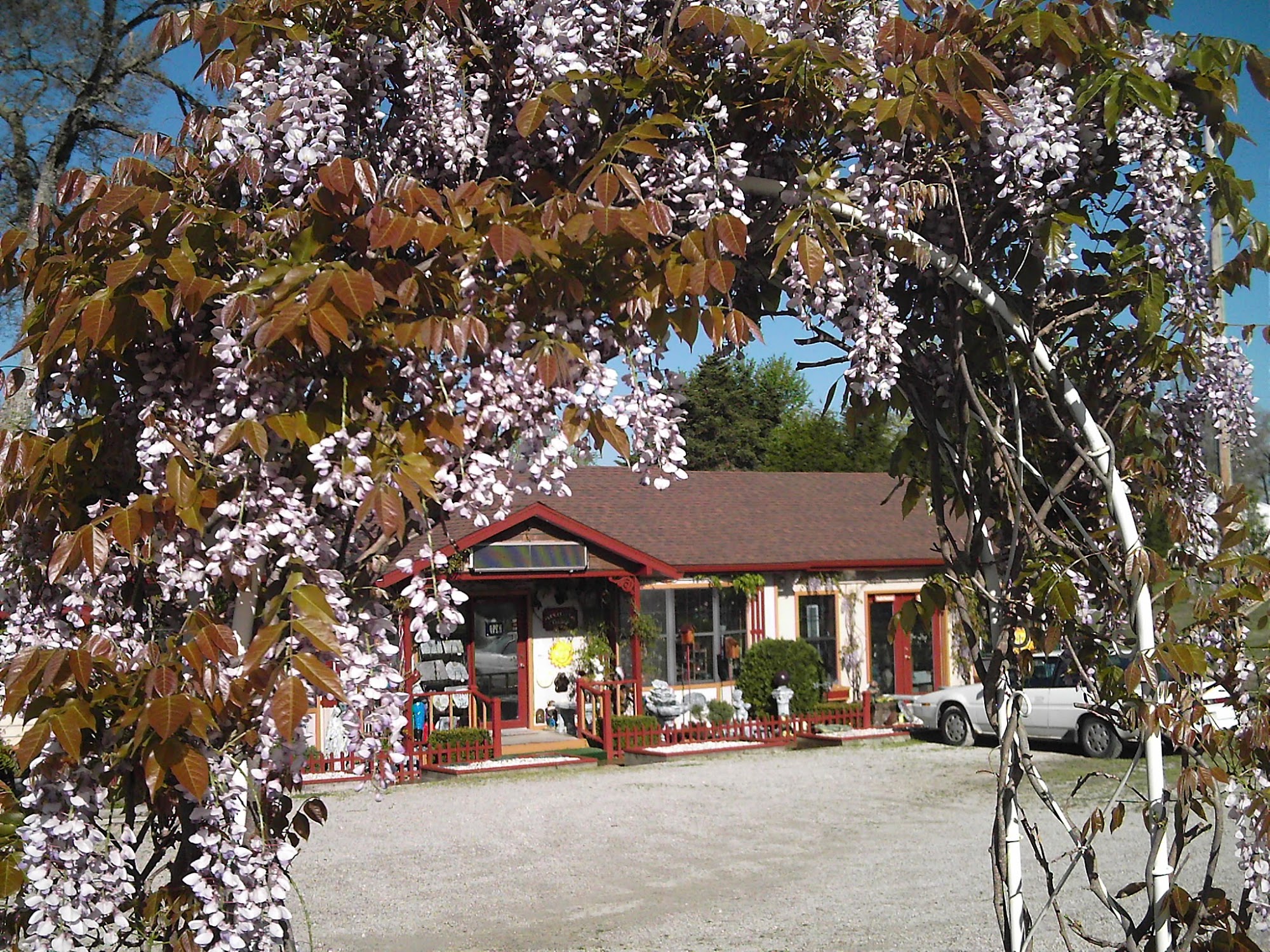 Wisteria Cottage