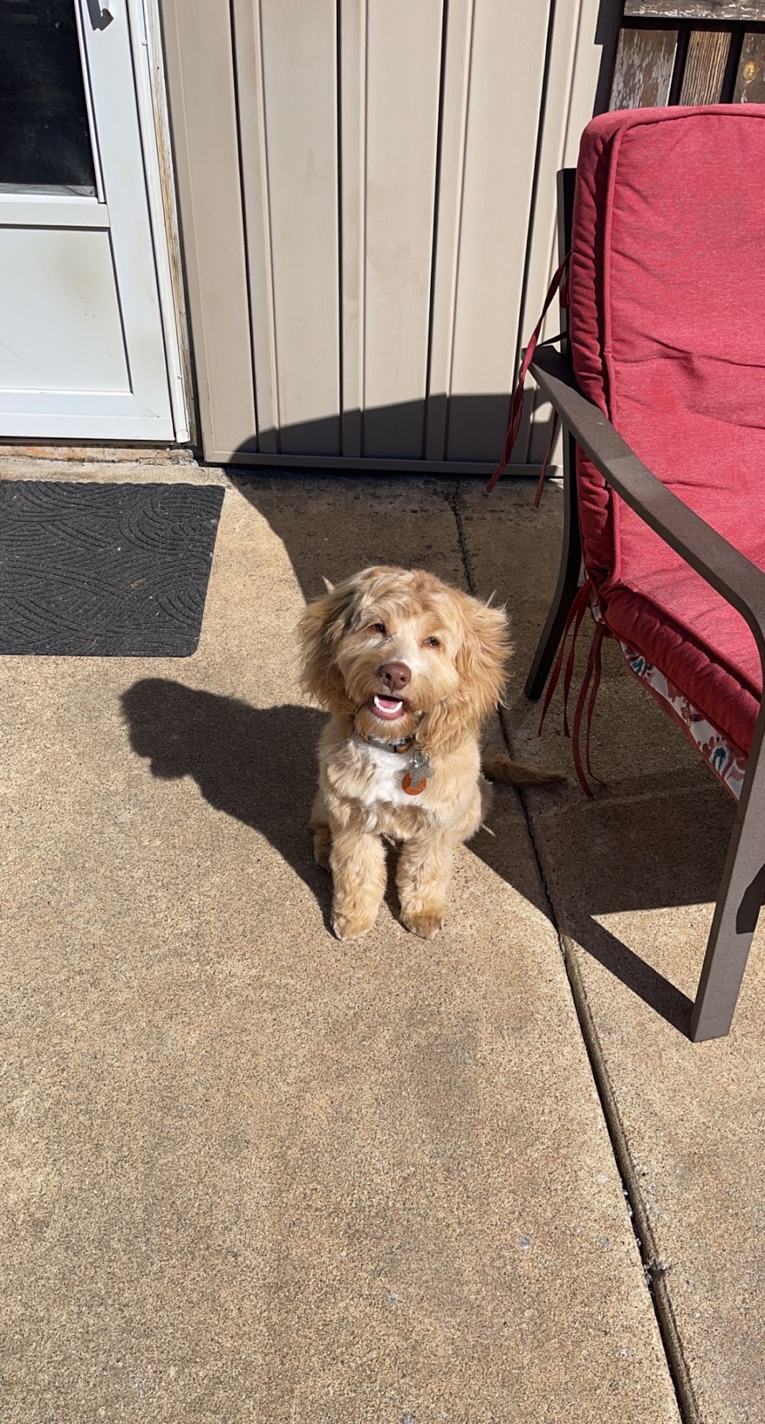 Nails & Tails Pet Salon Ozark