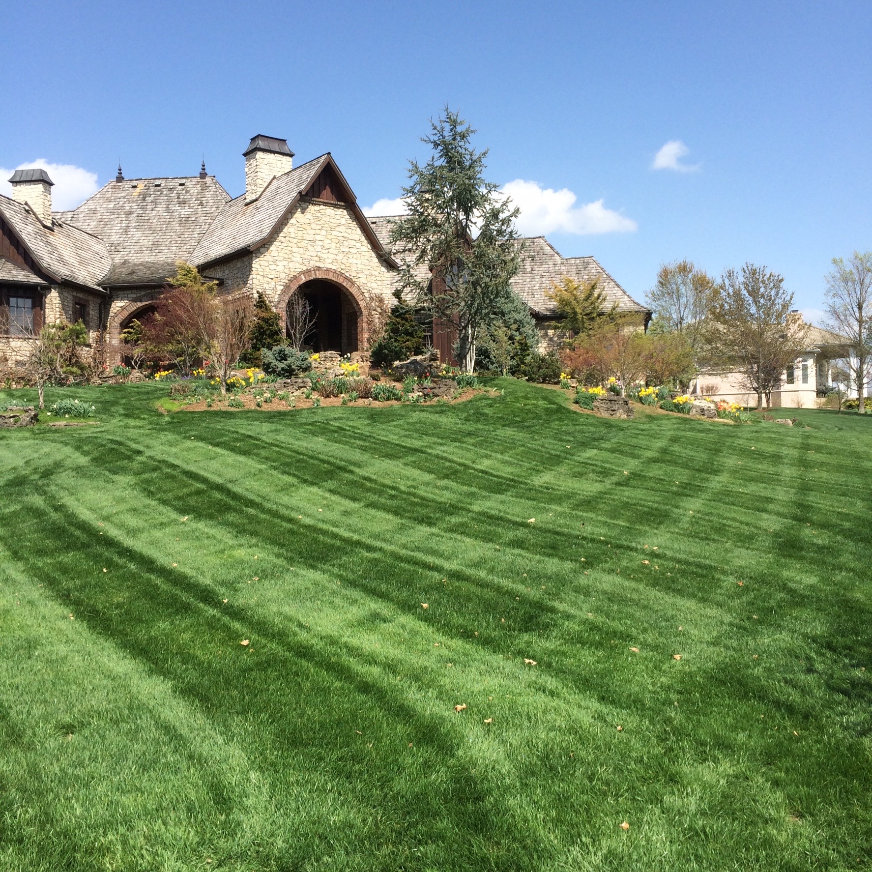 The Lawn Guy, LLC