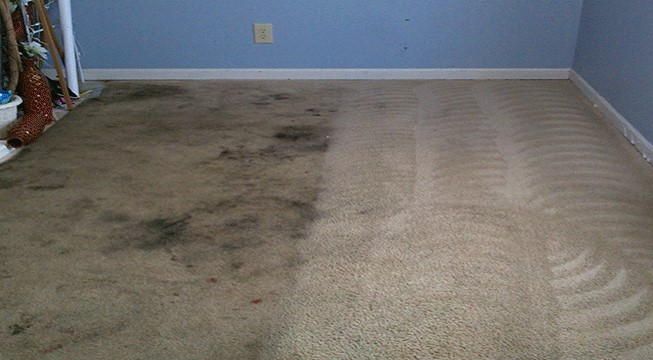KC Clean Carpets