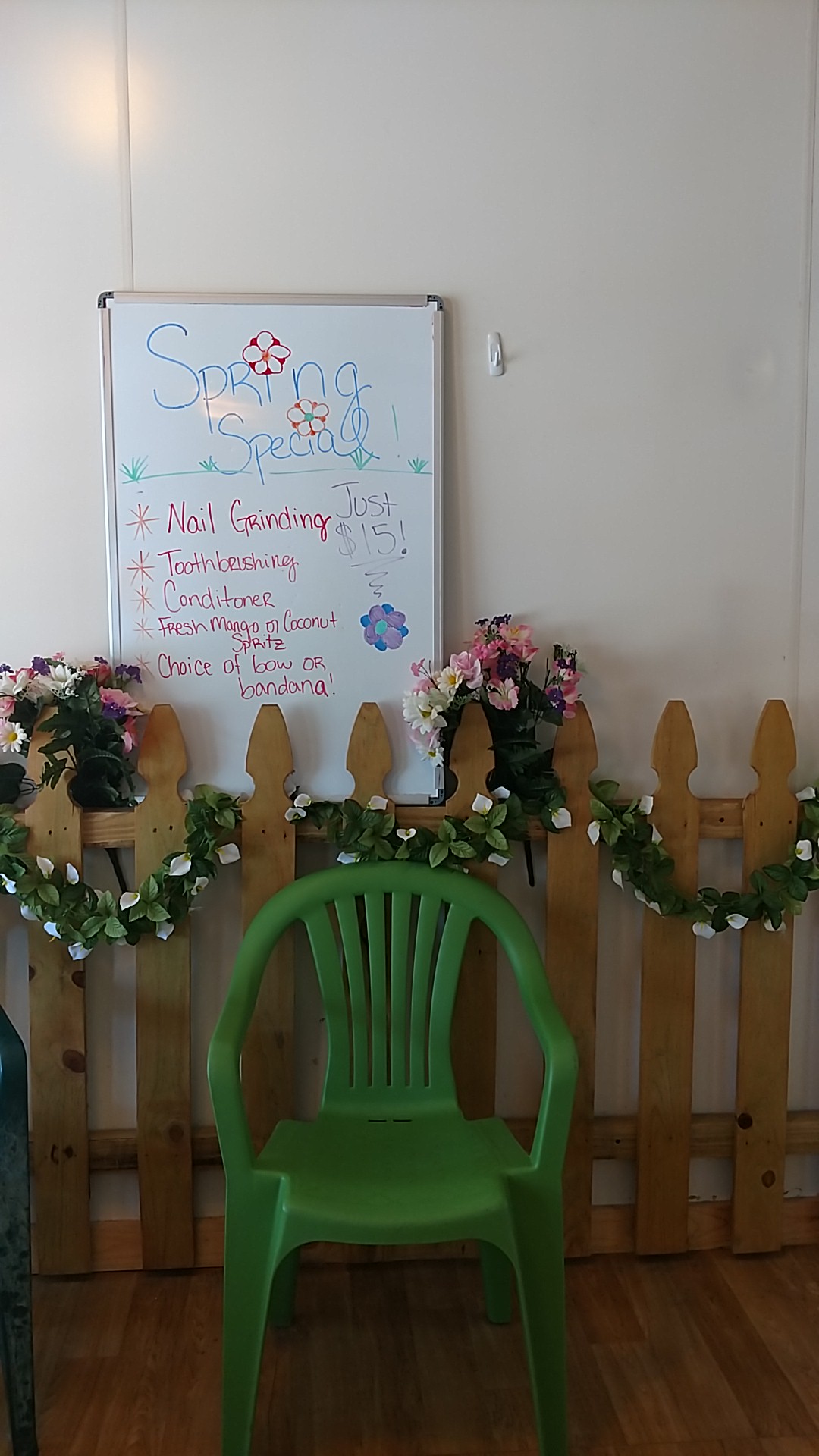 Tender Care Grooming Springfield