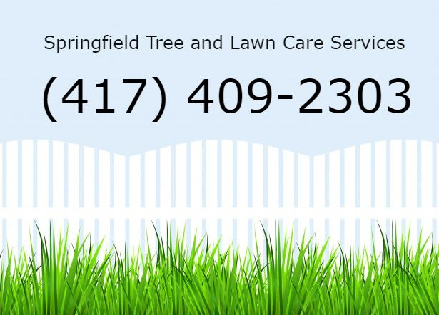 417 Tree Service & Lawn