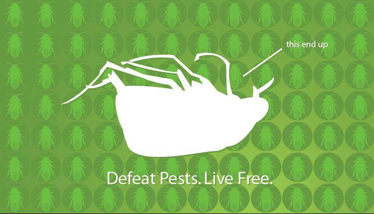 Davenport Pest Management