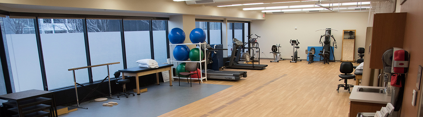 WU Physical Therapy Clinical Practice