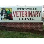 Troy & Wentzville Veterinary: Ryan C DVM