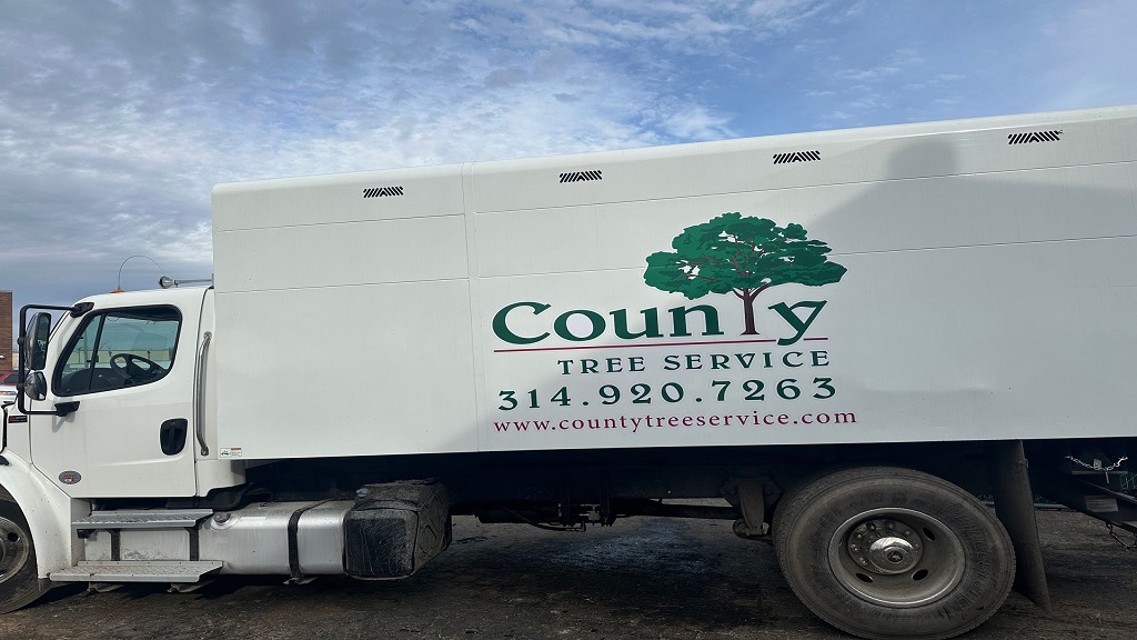 County Tree Service