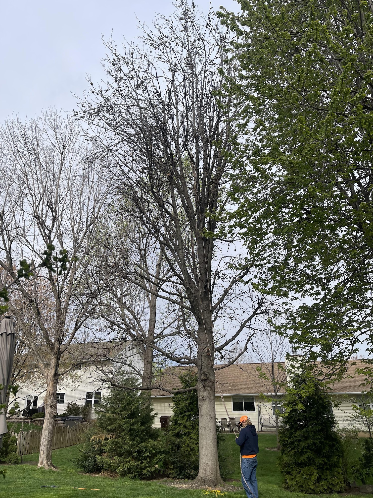 L&R Tree Removal and Landscaping LLC 2247 Columbus Cir, Warrenton Missouri 63383