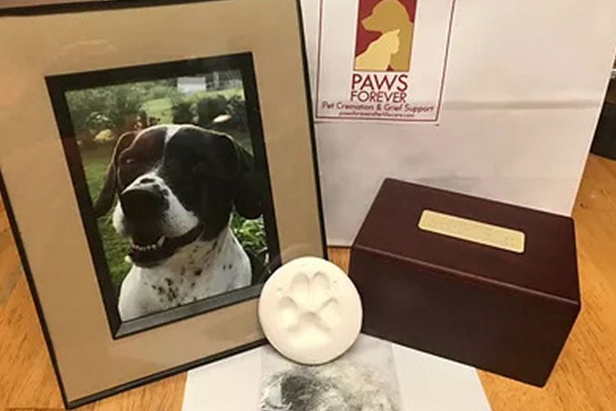 Paws Forever 17209 Chesterfield Airport Rd, Wildwood Missouri 63005