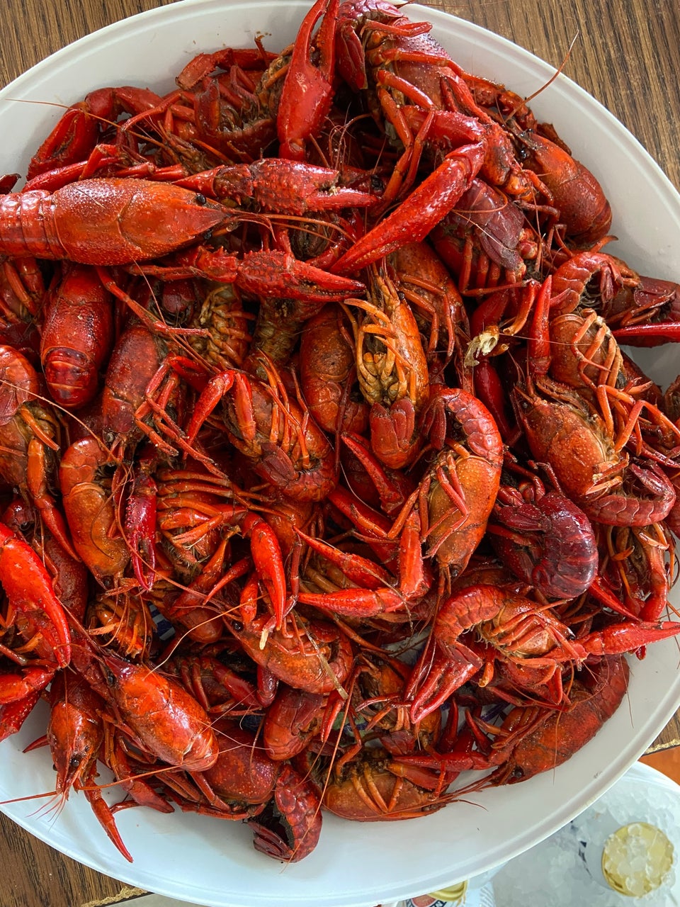 Mudbugs