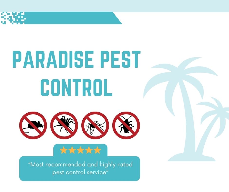 Paradise Pest Control 403 US-11, Ellisville Mississippi 39437