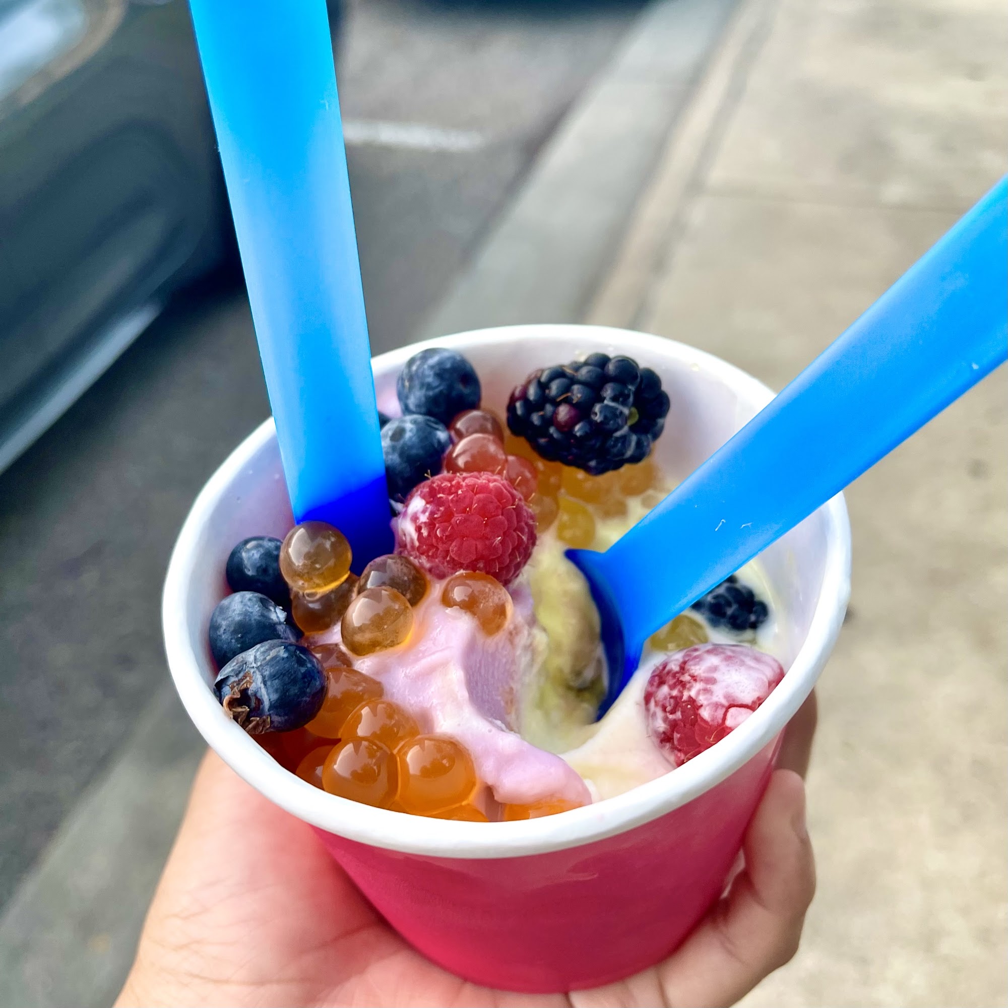 Berry Berry Good Frozen Yogurt