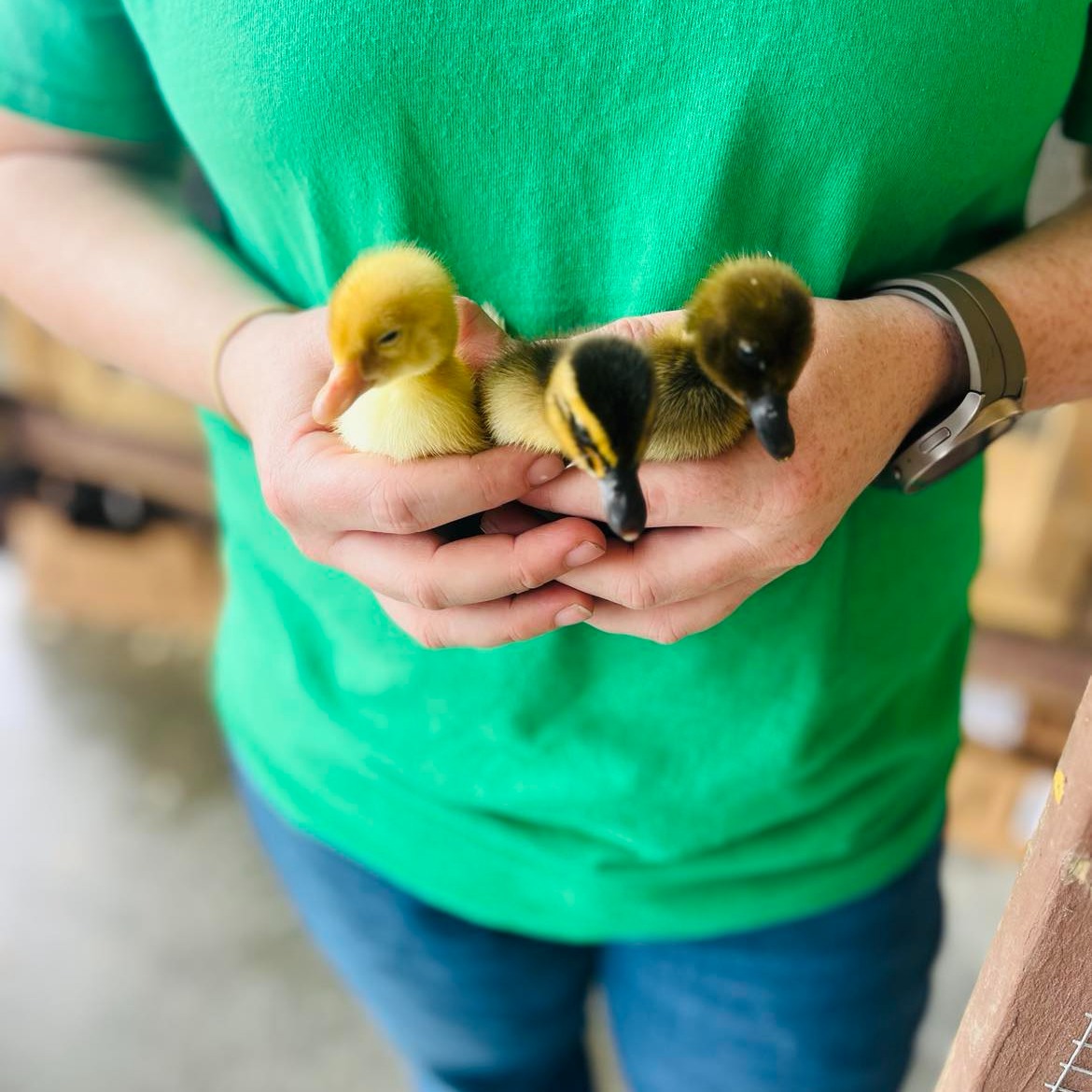 MS FARM & GARDEN 39 Rivers Dr, Hattiesburg MS 39401 Loc8NearMe